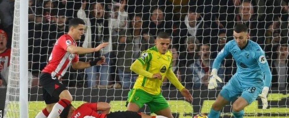Саутхамптън победи с 2:0 Норич bet365