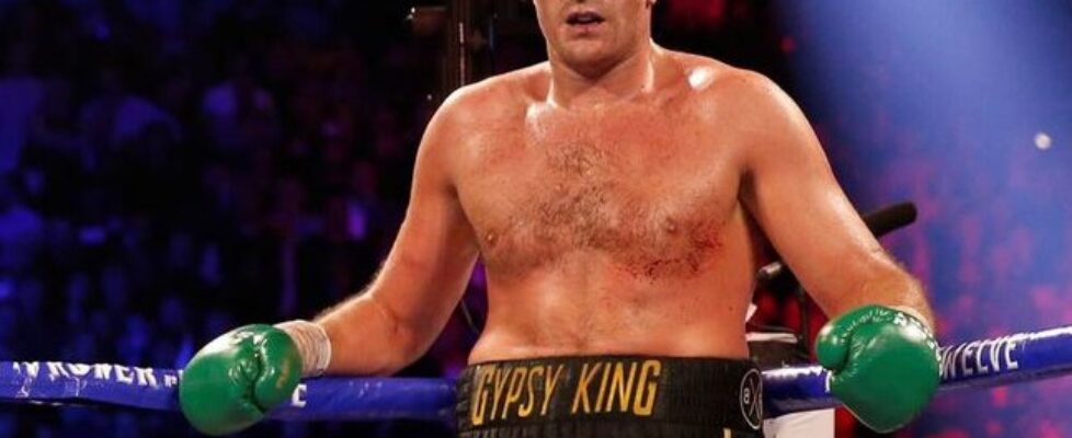 Александър Усик вярва, че Тайсън Фюри се страхува от него bet365