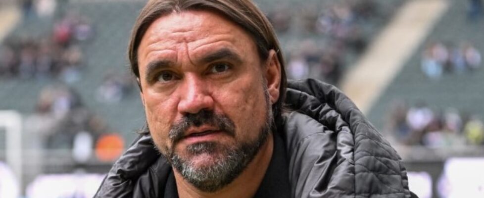 Даниел Фарке bet365