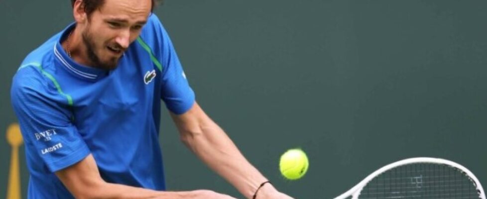 Даниил Медведев bet365