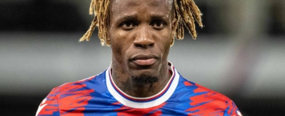 Уилфред Заха bet365