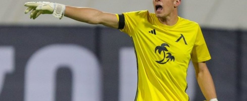Пламен Андреев bet365