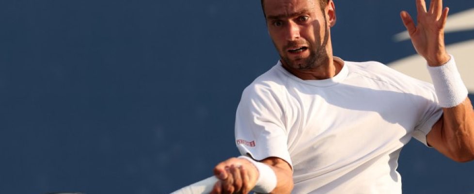 Роман Сафиулин bet365