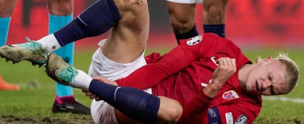 Ерлинг Холанд bet365