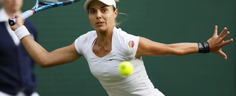 Томова bet365