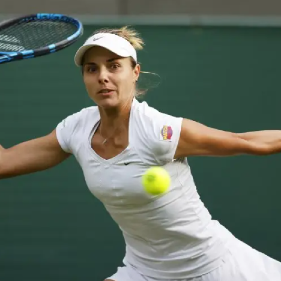 Томова bet365